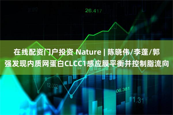 在线配资门户投资 Nature | 陈晓伟/李蓬/郭强发现内质网蛋白CLCC1感应膜平衡并控制脂流向