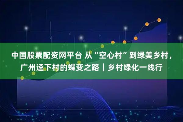 中国股票配资网平台 从“空心村”到绿美乡村，广州迳下村的蝶变之路｜乡村绿化一线行